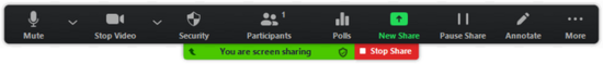 Share Controls