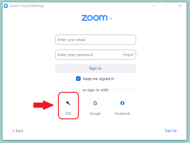 SSO login button in the desktop application